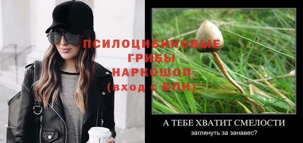ECSTASY Алексеевка